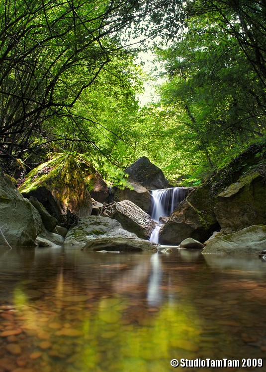 Riflessi sul torrente.jpg